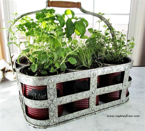 easy indoor herb garden that are inexpensive